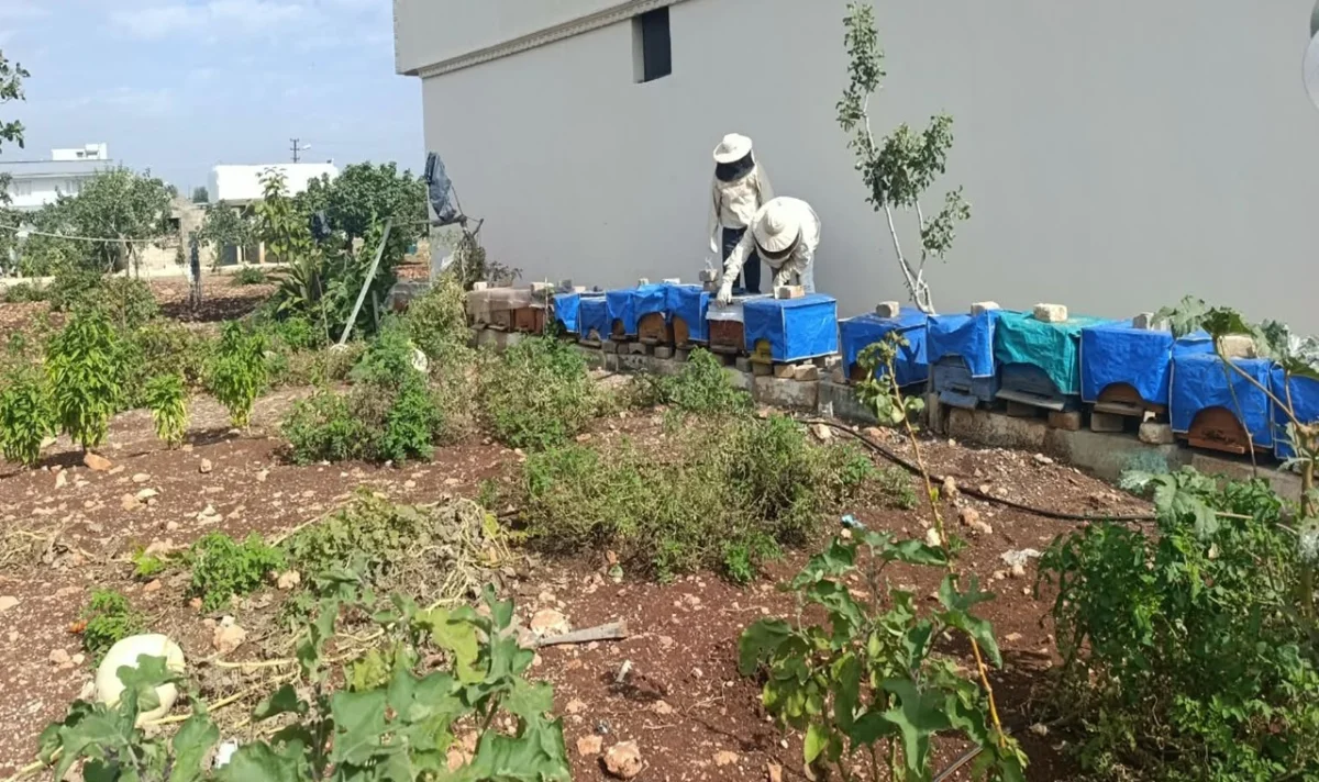 Şanlıurfa’da Arılı Kovan Desteği Denetimleri Yapıldı