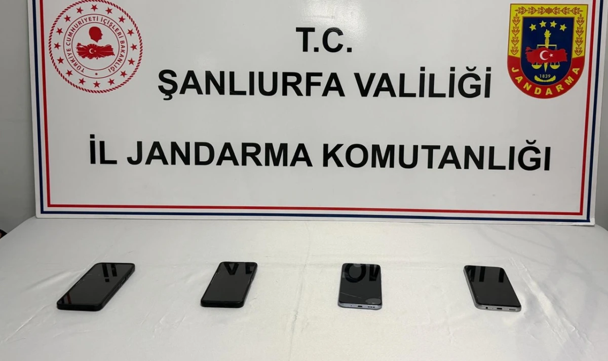 Şanlıurfa'da Siber Suç Operasyonu!